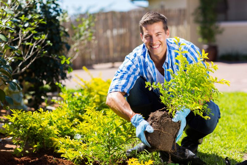 Shrub Replacement in Ventura County, CA